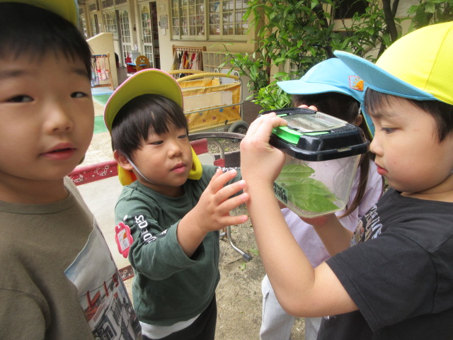 06.jpg 06.jpg